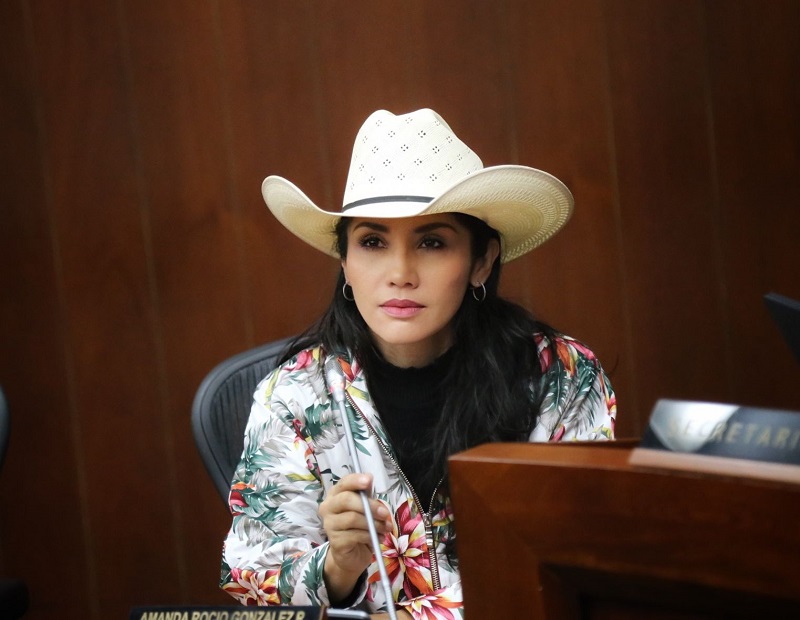 La senadora del Centro Democrático, Amanda Rocío González, lanzó fuertes críticas a las directivas de su partido al quedar por fuera en la lista de esa colectividad para aspirar de nuevo al Congreso de la República en las elecciones de marzo