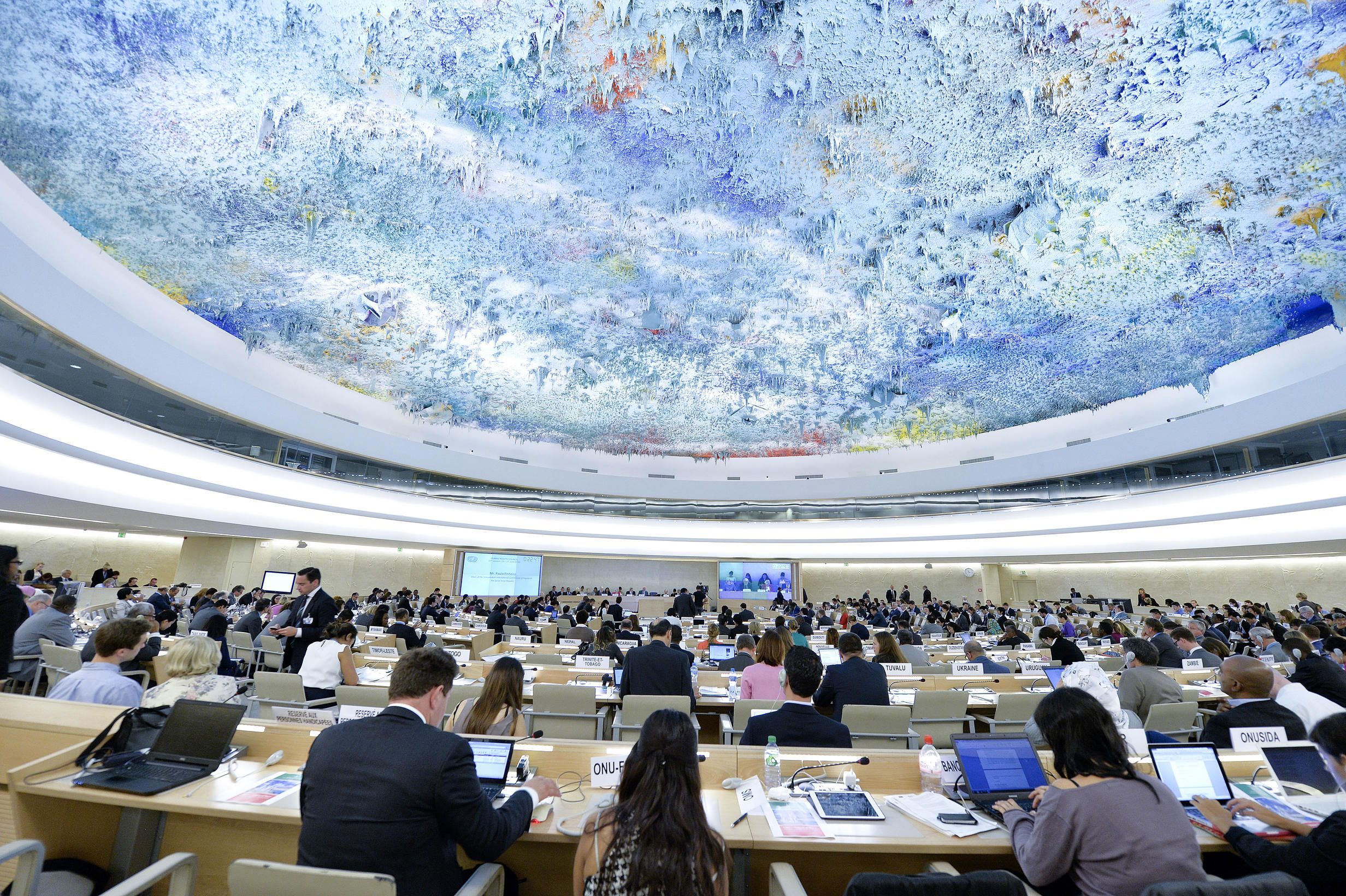 Es un organismo que nació en 2006, como sucesor de la Comisión de Derechos Humanos de la Organización de las Naciones Unidas (ONU). Su principal tarea es coordinar las actividades de DD.HH. de Naciones Unidas y promover la cooperación internacional en torno a esa materia. 