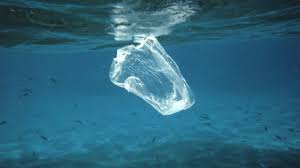 Según datos de ONU Medio Ambiente, el Caribe es el segundo mar más contaminado de plásticos en todo el mundo. Para proteger su biodiversidad, los gobiernos han acelerado sus esfuerzos, desarrollando una legislación que prohíbe la utilización de plásticos de un solo uso. 