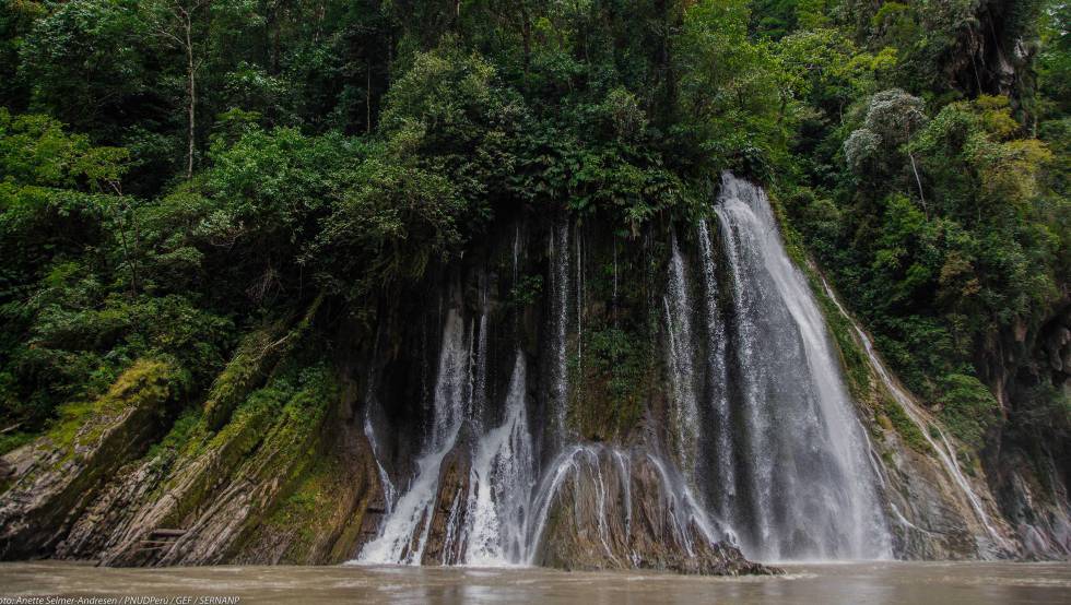 América Latina alberga el 84% de los bosques naturales del mundo. No obstante, están amenazados por la deforestación y la degradación, entre otros peligros.