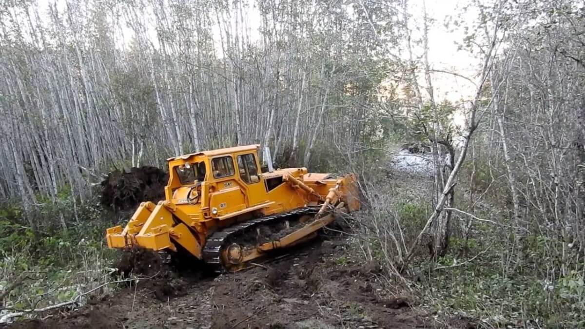 Teniendo en cuenta el aumento en la Deforestación de Bosques en Colombia, estimada en 219.973 hectáreas durante 2017 (23%), según el Ideam, el Gobierno Nacional creó el Consejo Nacional de Lucha Contra la Deforestación.