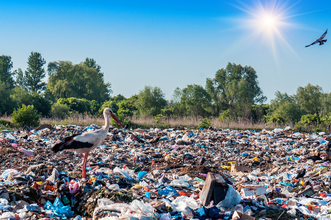 Según un Informe del Movimiento Break Free From Plastic, tres de las marcas que han firmado el compromiso con ONU, Coca-Cola, Pepsi y Nestlé, son las empresas que más contaminación por plástico producen.
