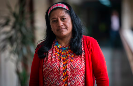 “Desde el territorio tenemos que buscar una paz integral, no es solamente diálogo, es definir cómo va a hacer esa sustitución de cultivos ilícitos donde muchas comunidades ya han hecho propuestas y que nos parece importante ponerlas en marcha desde el gobierno nacional”, destaca la presidente de la Comisión de Paz del Senado Aida Quilcué.