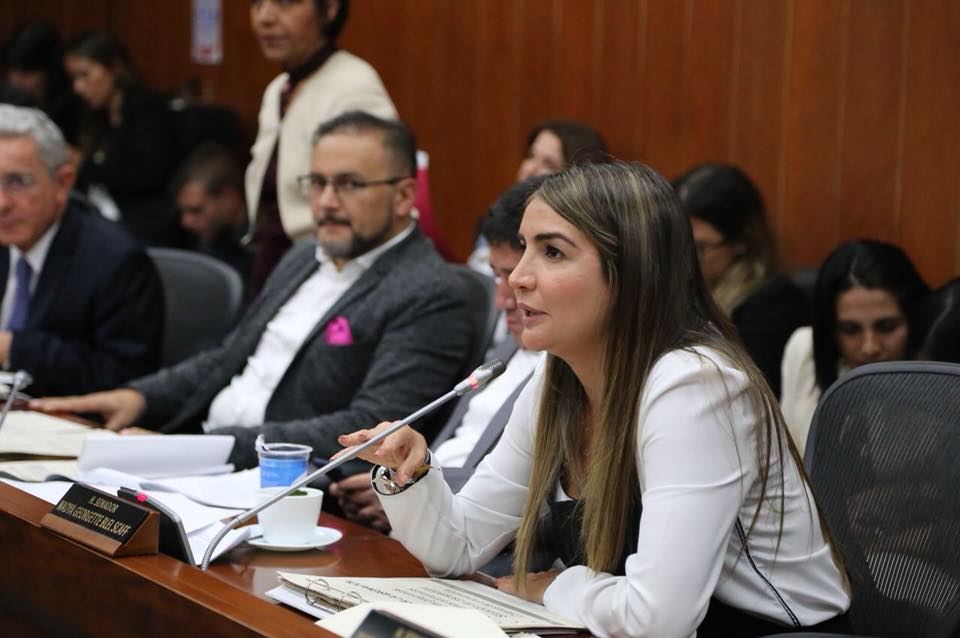 El proyecto tiene por objeto dar acceso prioritario a las mujeres víctimas de violencia extrema a los programas de vivienda que ofrece el Gobierno. “Con esta iniciativa hacemos una aporte para exista más justicia en el país y para que se logre la igualdad material que tanto anhelan las mujeres colombianas”.