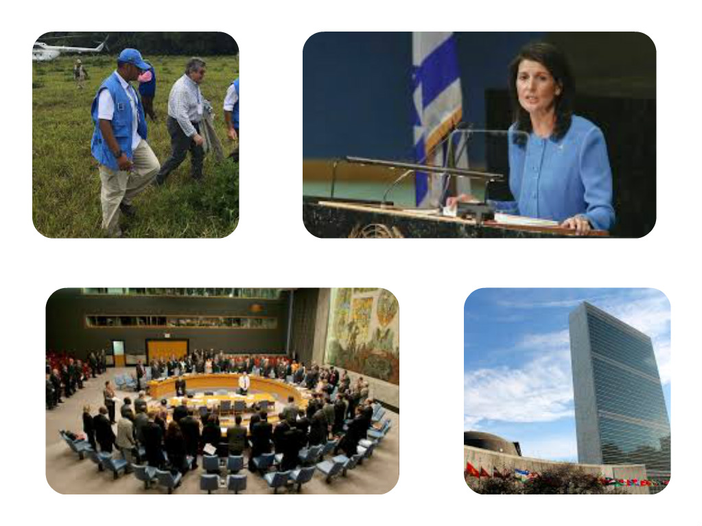 En sesión 8351 fue aprobada, por unanimidad, en el Consejo de Seguridad la Resolución 2435, para la extensión del mandato de la Misión de Verificación de la ONU en #Colombia, sobre la verificación de los puntos 3.2 y 3.4 del Acuerdo de Paz.