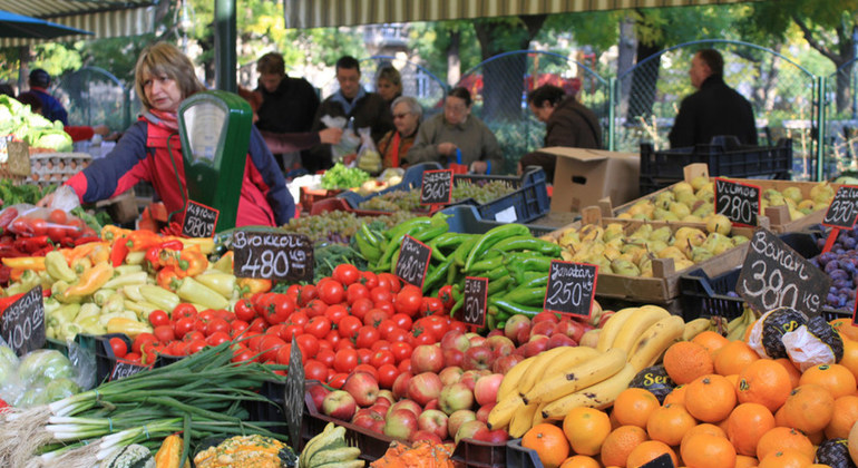 La biodiversidad que sustenta nuestra alimentación está desapareciendo, alerta un nuevo informe de la Organización de las Naciones Unidas para la Alimentación y la Agricultura (FAO).